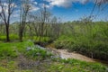 A long winding creek in the forest surrounded by lush green trees and plants with blue sky and clouds at Murphey Candler Park