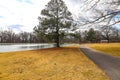 A long winding footpath in the park surrounded by yellow winter grass, bare winter trees, lush green trees with blue sky Royalty Free Stock Photo