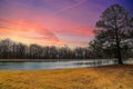 A long winding footpath in the park surrounded by yellow winter grass, bare winter trees, lush green trees with red sky Royalty Free Stock Photo