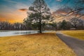 A long winding footpath in the park surrounded by yellow winter grass, bare winter trees, lush green trees with red sky Royalty Free Stock Photo