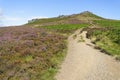 Long, winding path through heather and bracken to the top of Higger Tor
