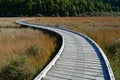 A long and winding path, Okarito wetland, west coast, Aotearoa / New Zealand