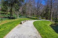 A long winding rocky footpath in the garden near the pond surrounded by lush green grass, bare winter trees and lush green trees Royalty Free Stock Photo