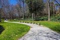 A long winding rocky footpath in the garden near the pond surrounded by lush green grass, bare winter trees and lush green trees Royalty Free Stock Photo