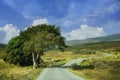 A long winding rural road in Ireland. Royalty Free Stock Photo