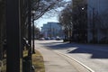 A long winding street with cars stopped at a yellow traffic signal lined with bare winter trees, tall black light posts Royalty Free Stock Photo