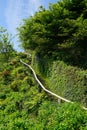 Long winding wooden stairs with handrail uphill in nature park in summer, wooden stairway