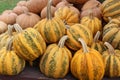 Long wood table with assortment of Fall pumpkins for sale