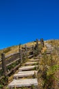 The long wood way view at Inthanon National Park of Thailand. Royalty Free Stock Photo