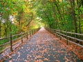 Long wooded trail