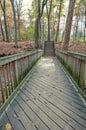 Long Wooden Footbridge in Forest in Late Autumn Season Royalty Free Stock Photo