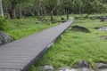 Long nature trail bridge over green grass in the park Royalty Free Stock Photo