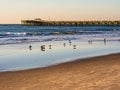 Long wooden pier on the Atlantic coast with setting sun and seagulls on the on the beach Royalty Free Stock Photo