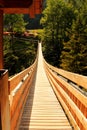 Long wooden suspension bridge