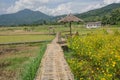 Long woven bamboo bridges to mushroom shed and pavilions