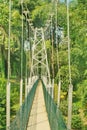 Long yellow way of line air  bridge in green pak Royalty Free Stock Photo