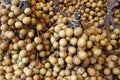 Longan berries bunches background