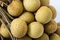 Longan