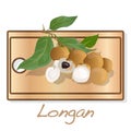 Longan, Dimocarpus longan. Longan vector illustration on dish isolated white background