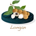 Longan, Dimocarpus longan. Longan vector illustration on dish isolated white background