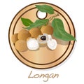 Longan, Dimocarpus longan. Longan vector illustration on dish isolated white background