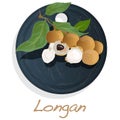 Longan, Dimocarpus longan. Longan vector illustration on dish isolated white background