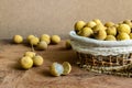 Longan (Dimocarpus longan) and peel Royalty Free Stock Photo
