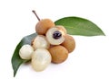 Longan (Dimocarpus longan) on white background Royalty Free Stock Photo