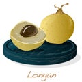 Longan, Dimocarpus longan. Vector illustration of longan berry on the plate