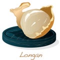 Longan, Dimocarpus longan. Vector illustration of longan berry on the plate