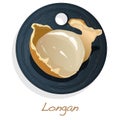 Longan, Dimocarpus longan. Vector illustration of longan berry on the plate