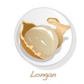 Longan, Dimocarpus longan. Vector illustration of longan berry on the plate