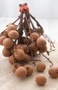 Longan - exotic asian fruit