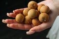 Longan, fresh longan on palms. Royalty Free Stock Photo