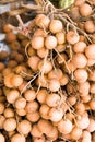 Longan fruit Royalty Free Stock Photo