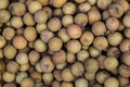 Longan fruit the asian lychee on the market Royalty Free Stock Photo