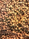 Longan fruit