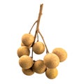 Longan fruit isolated on white background Royalty Free Stock Photo