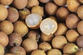 Longan