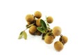 Longan isolated Royalty Free Stock Photo
