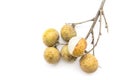 Longan Royalty Free Stock Photo