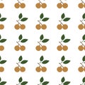 Longan fruit. Seamless Vector Patterns