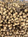 Longan many sold in the market Royalty Free Stock Photo