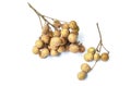 Longan tropical fruit in branch on white background Royalty Free Stock Photo