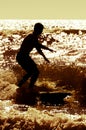 Longboarder surfing at sunset Royalty Free Stock Photo