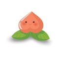 longevity peach bun. Vector illustration decorative design