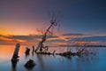 Wonderfull sunrise at muara kecil beach, tanggerang indonesia