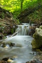 Mountine river in the forest Royalty Free Stock Photo