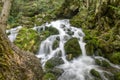 Mountine river Grza in the forest Royalty Free Stock Photo