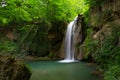 Longexposure photography of waterfall in forest